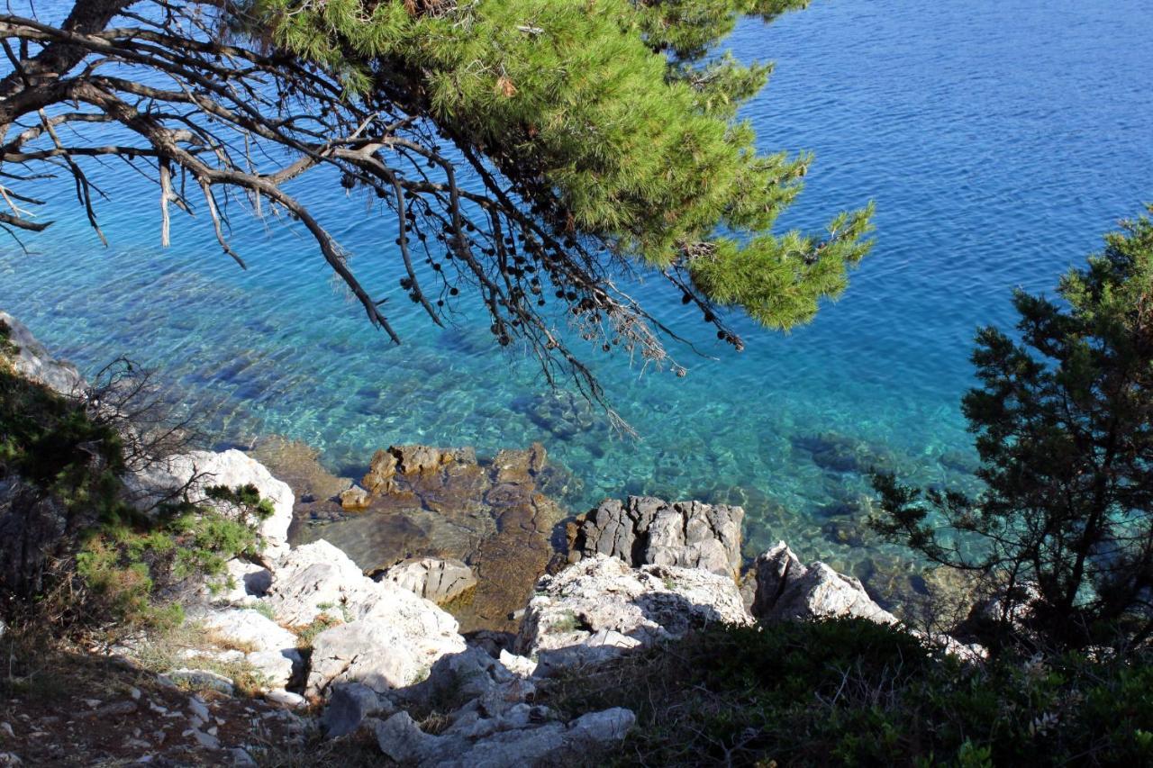 Apartments With A Parking Space Bozava, Dugi Otok - 8108 מראה חיצוני תמונה