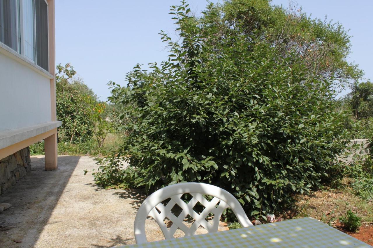 Apartments With A Parking Space Bozava, Dugi Otok - 8108 מראה חיצוני תמונה